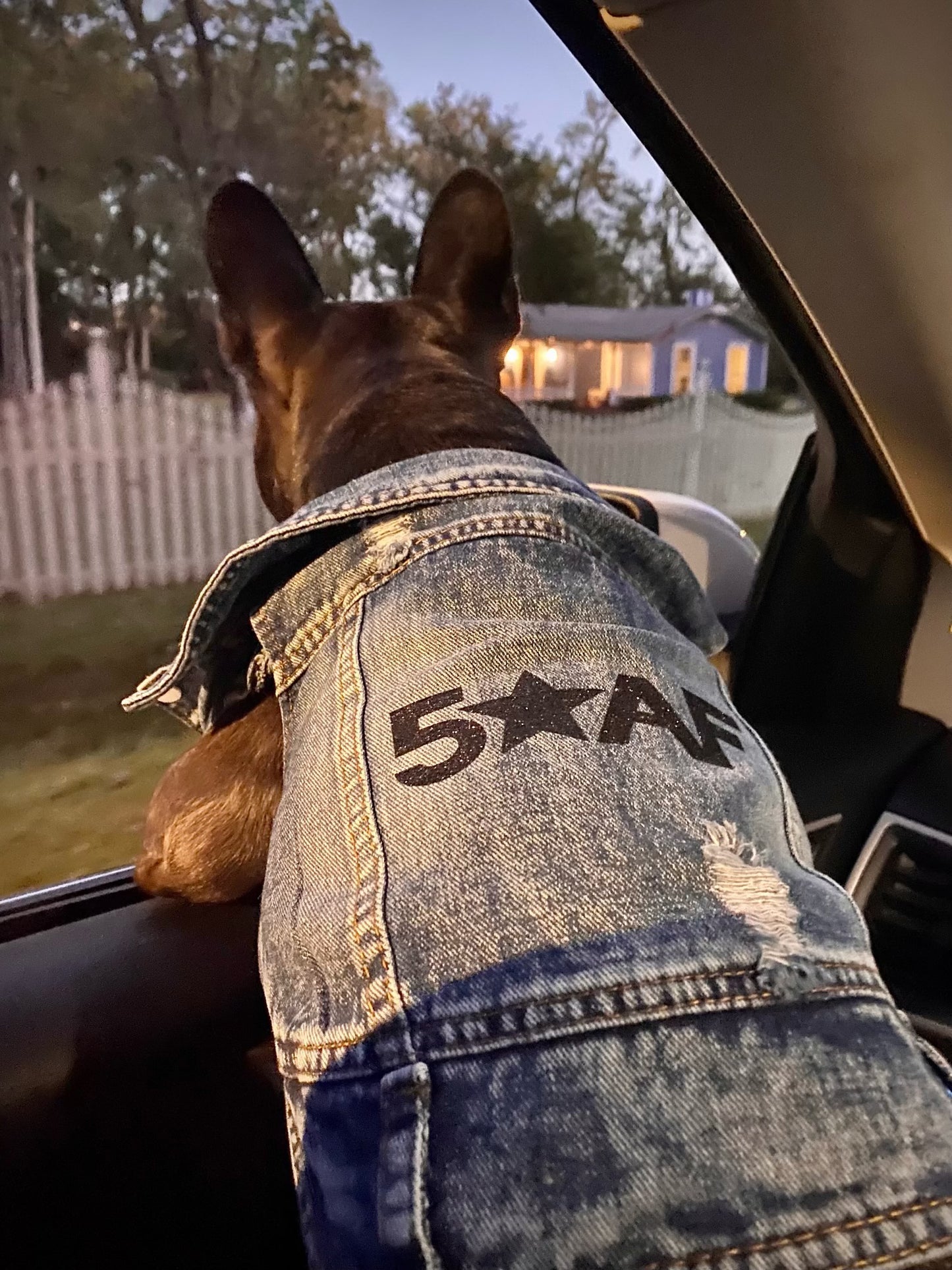 5 Star Pet Denim Vest